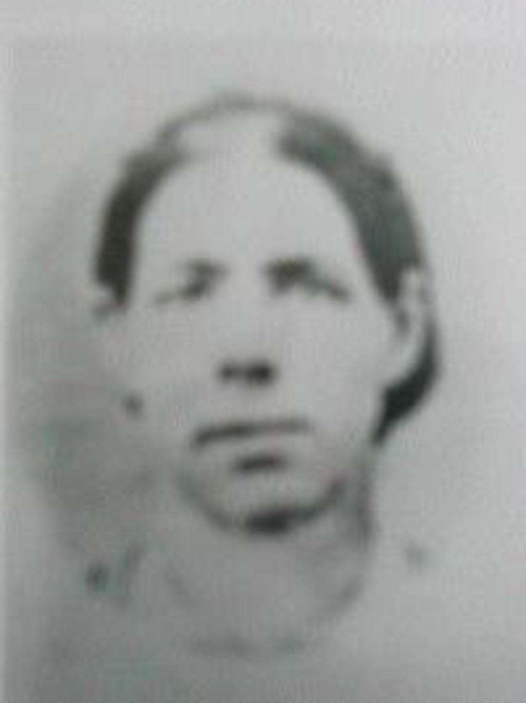 Elizabeth Lambert (1819 - 1886) Profile
